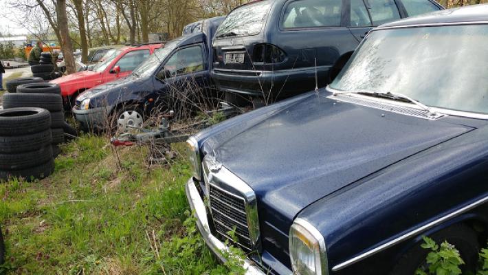 Klassische Automobile Dahlewitz