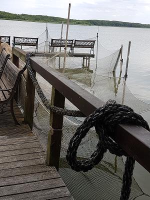 Uwe Dowhaluk, KFZ-Werkstatt