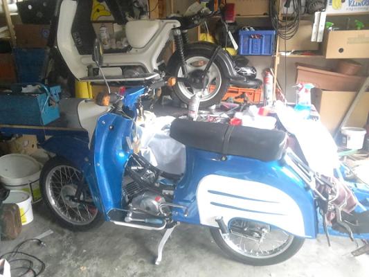 S. Petautschnig u. Rauer J.