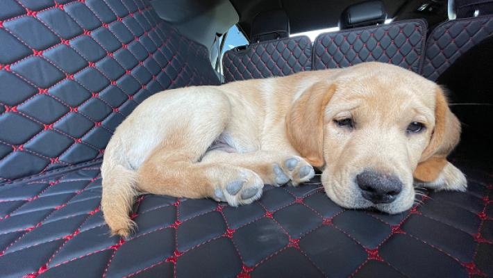 CARSTYLER®️ ️ Der Kofferraumschutz Für Dein Auto