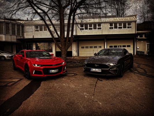 easy-Performance est.2021