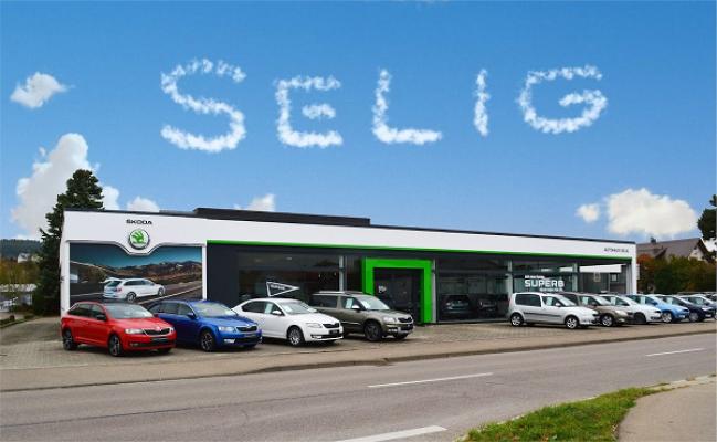 Autohaus Selig GmbH