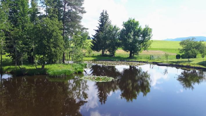 Mittnecker Kfz-Werkstatt