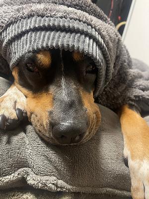 KFZ-Elektrotechnik Lorenz Staudacher