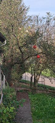 Kfz- Landtechnik Breuer