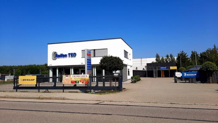 Reifen TED Thomas Aschurow