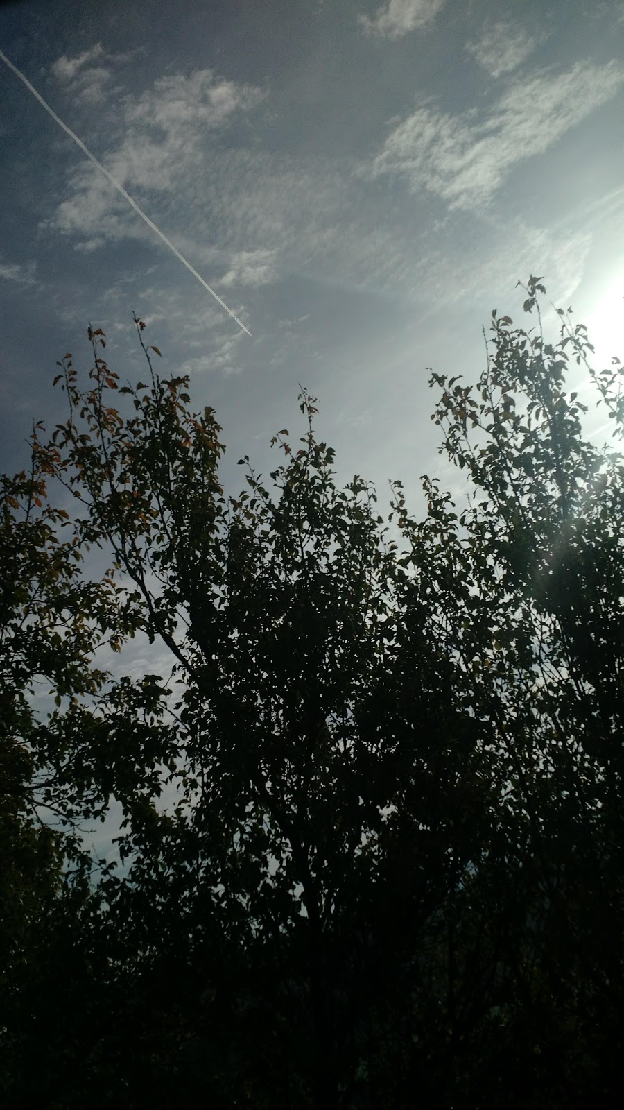 67ca4e8429115