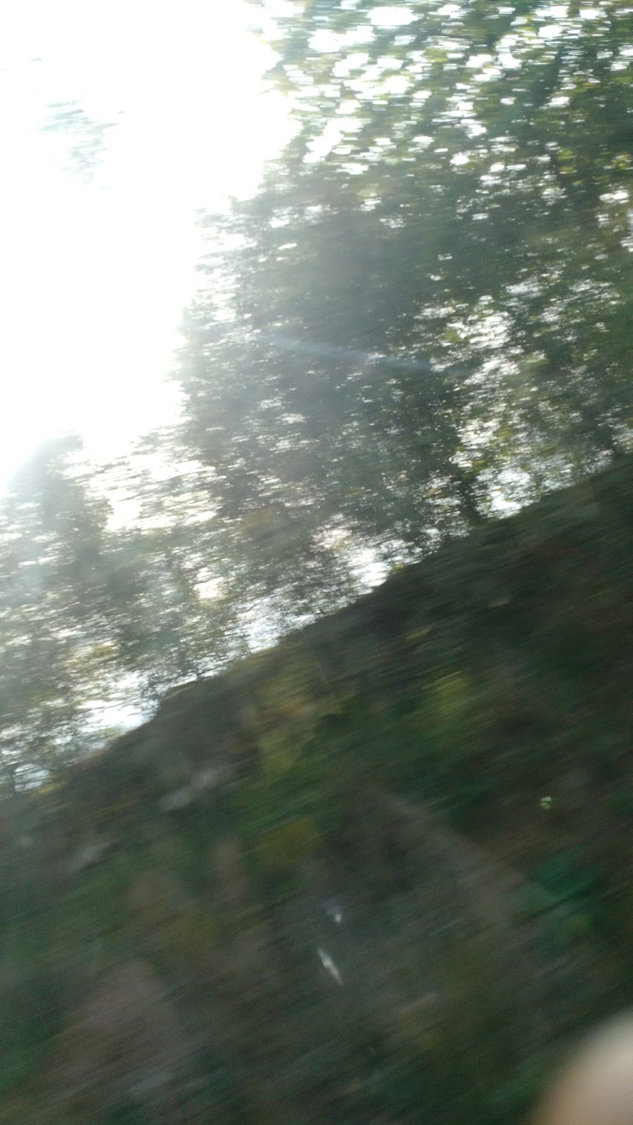 67ca4e84acd17