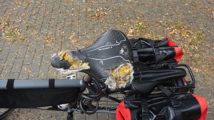 Autopark Glöwen Die Werkstatt GmbH