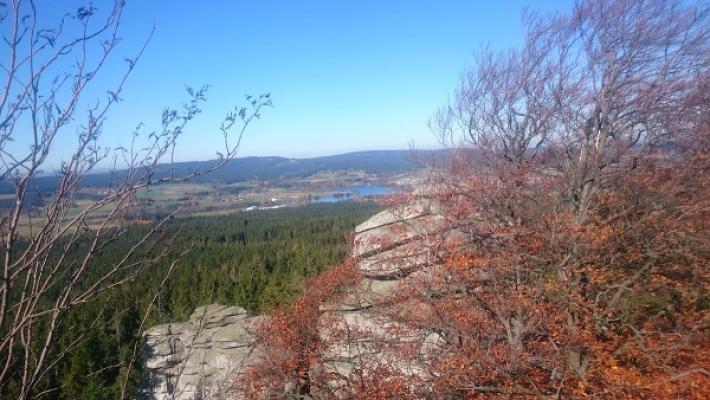 Roland Riedelbauch Kfz.-Mechaniker
