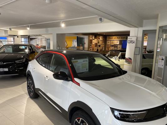 Autohaus Dornig GmbH & Co. KG