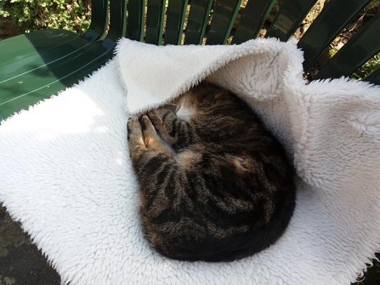 KFZ-Werkstatt & Meisterbetrieb Dieter Pöhlmann e.K.