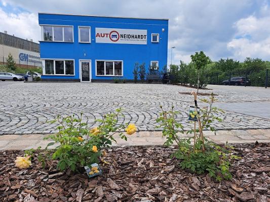 Auto Neidhardt
