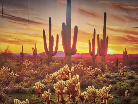 HELIOdynamics Landy-Werkstatt