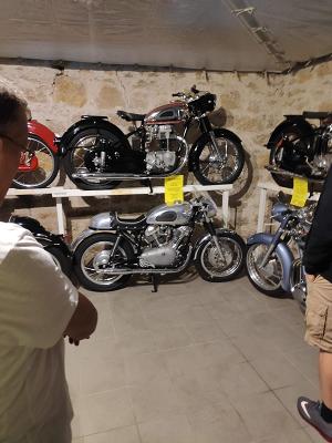 Ammon Horexdienst GmbH