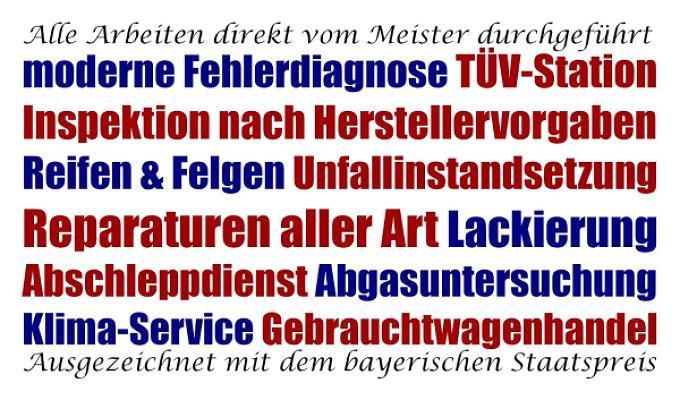 KFZ-Meisterbetrieb SCHAUB