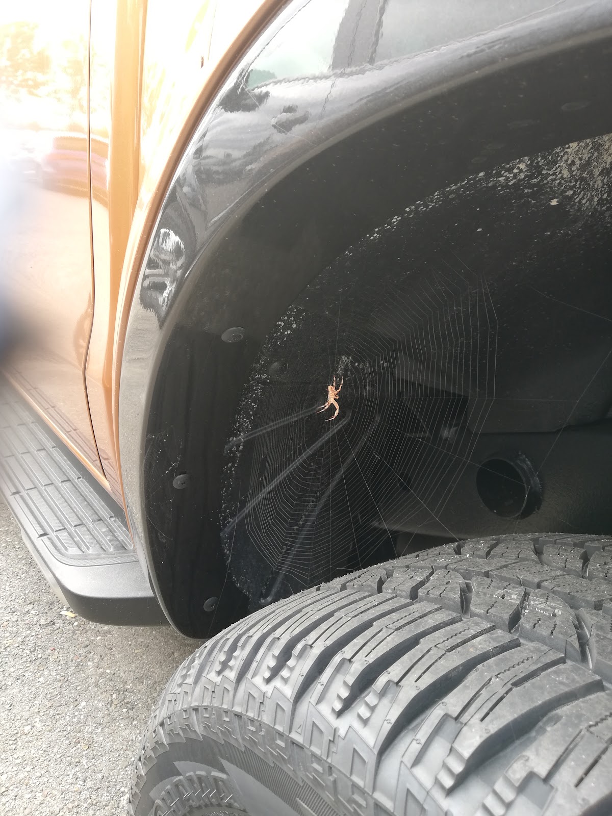 67ca70916fabc