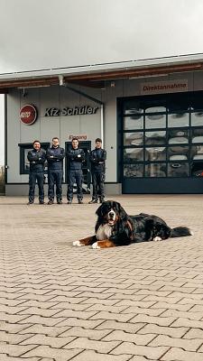 KFZ-Schüler Meisterbetrieb