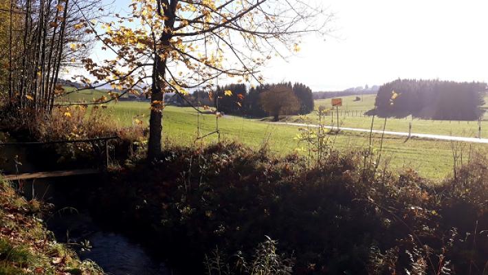 Autohaus Wengenmayr, VW