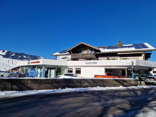 AUTOHAUS TAUSCHER GMBH & CO. KG Citroën services