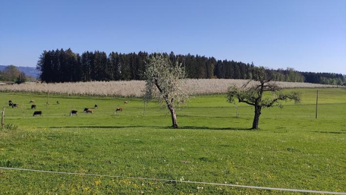 MK Reifen& Fahrzeugservice