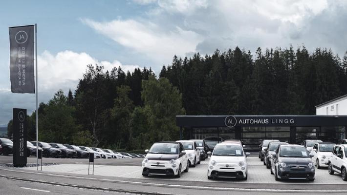 AUTOHAUS LINGG