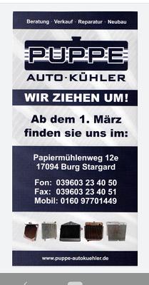 Puppe Autokühler