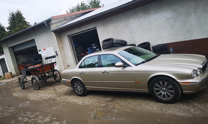 KFZ-Reparatur & Handel Maik Harmann