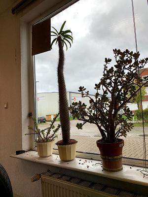 Reifen- und Autoservice Walper GmbH