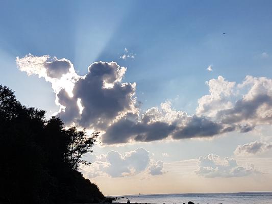 FX mobile UG (haftungsbeschränkt) Steffen Reimers