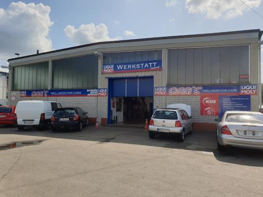 Siggi's Wellness For Cars