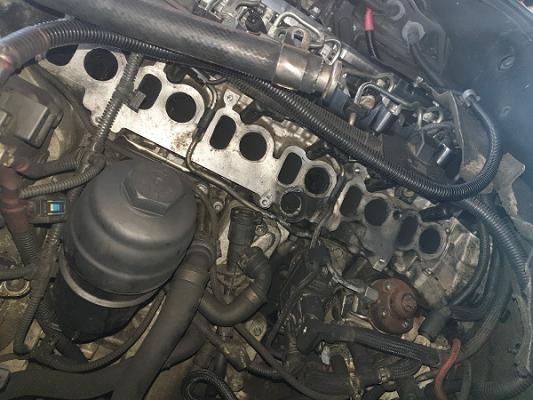 KFZ-Zentrum Neu Wulmstorf, Igor Kaftan