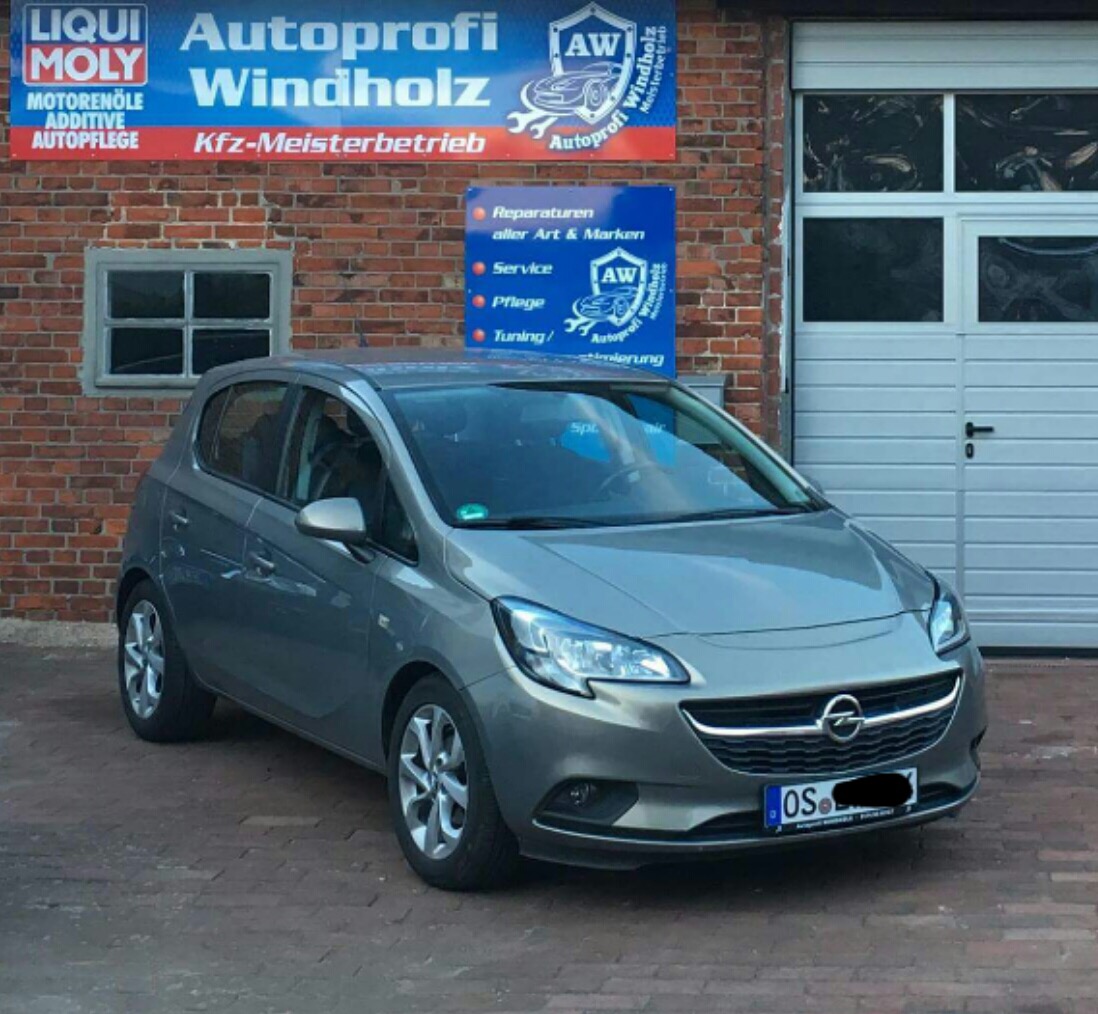 Autoprofi Windholz