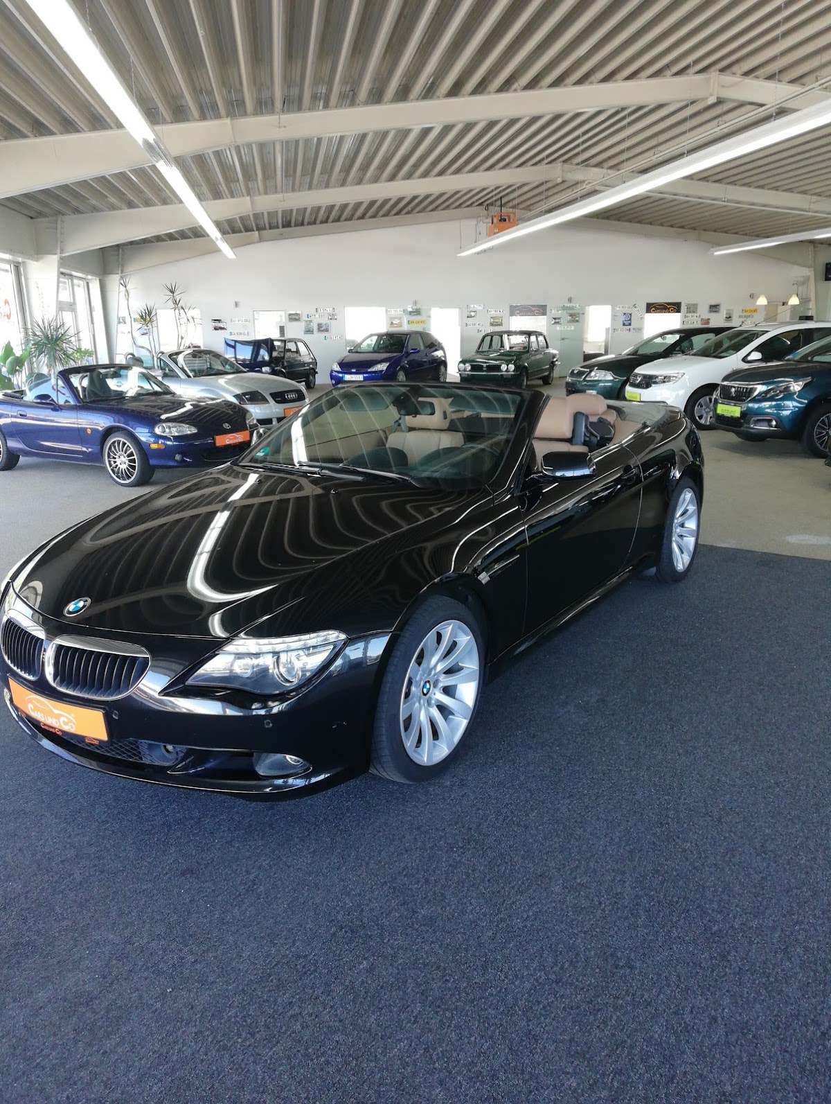 Cars und Co Die Werkstatt